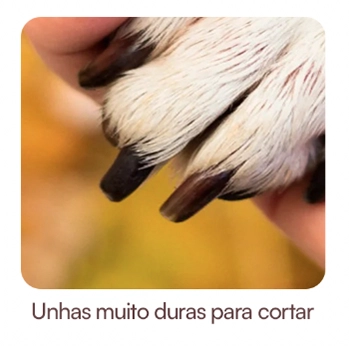 Unhas muito duras para cortar