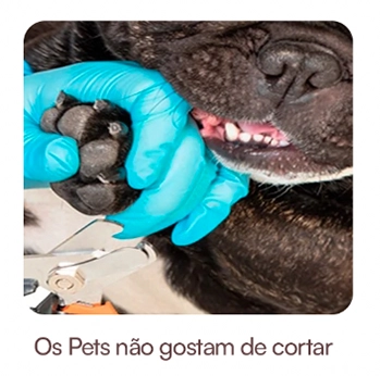 Cão desviando do alicate — os pets não gostam de cortar
